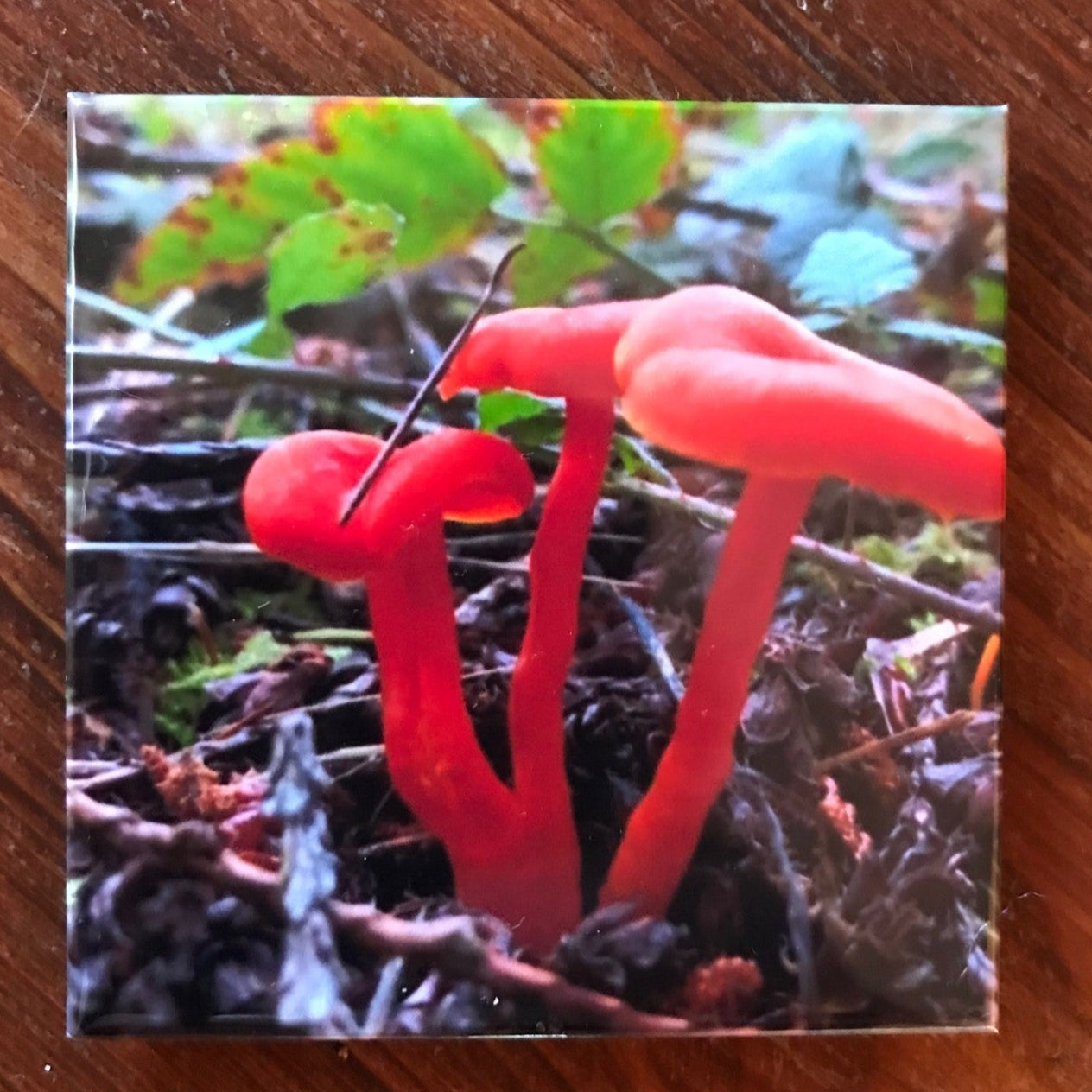 Custom 2.5"x2.5" photo magnets